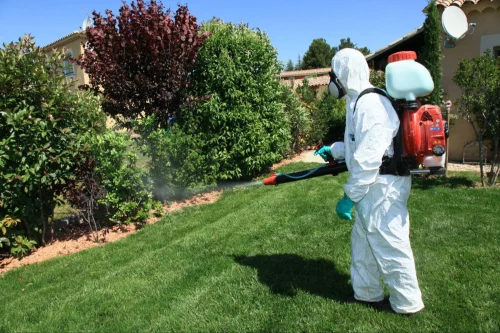 Keller Mosquito Control
