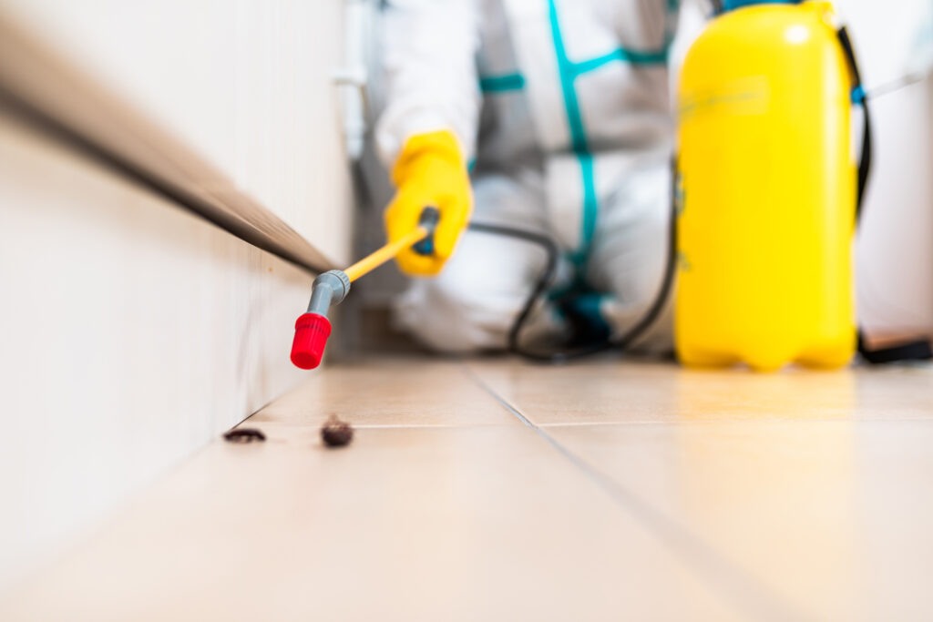 Keller Cockroach Experts