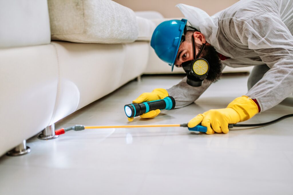 Keller Termite Control